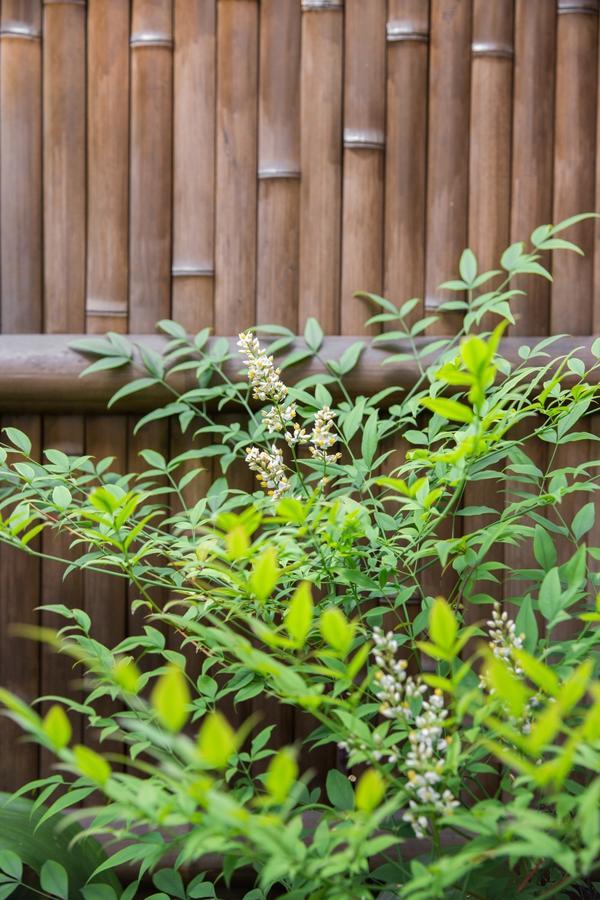 Kyoto Stay Temari Dış mekan fotoğraf